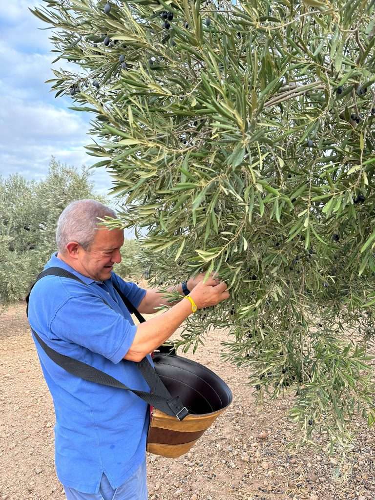 Herriza de la Lobilla https://www.lalobilla.es/comprar-aceite-de-hojiblanca/